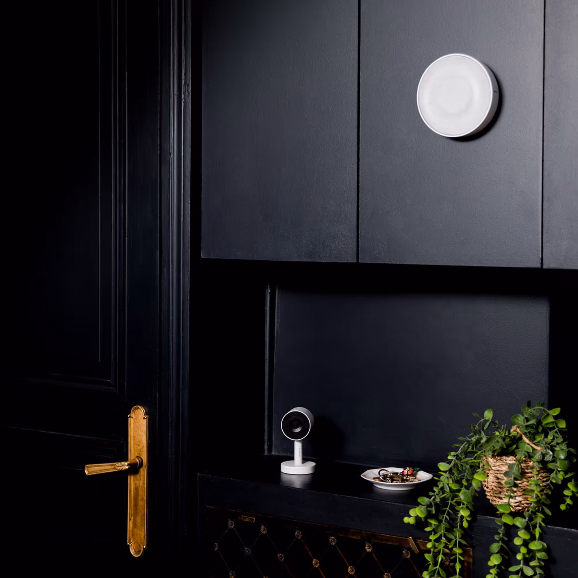 Detect, alert, and immediately repel intruders.