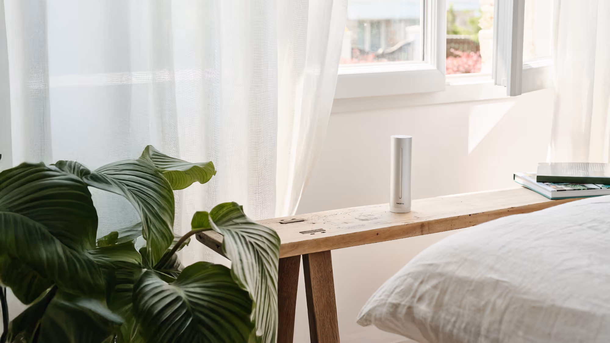 Improve the air quality of your indoors.