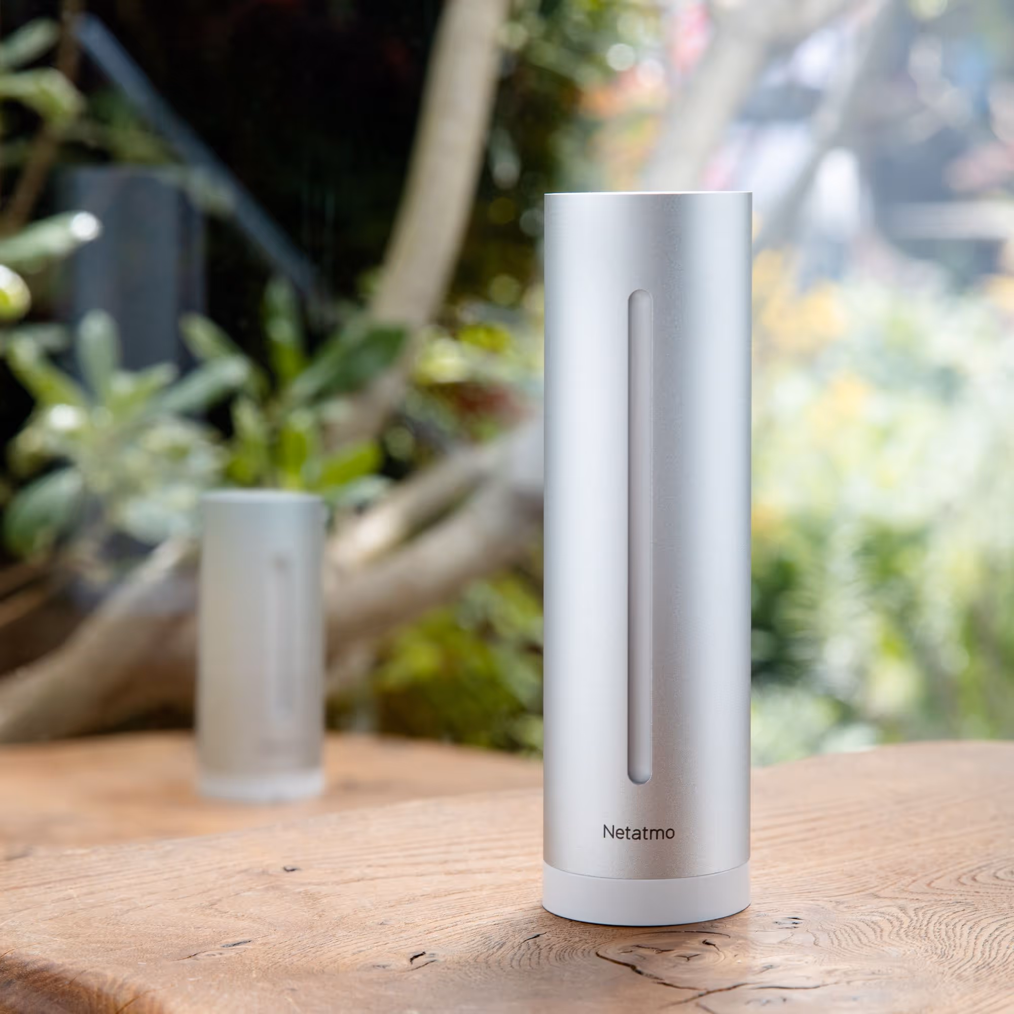 Analyze indoor and outdoor conditions.