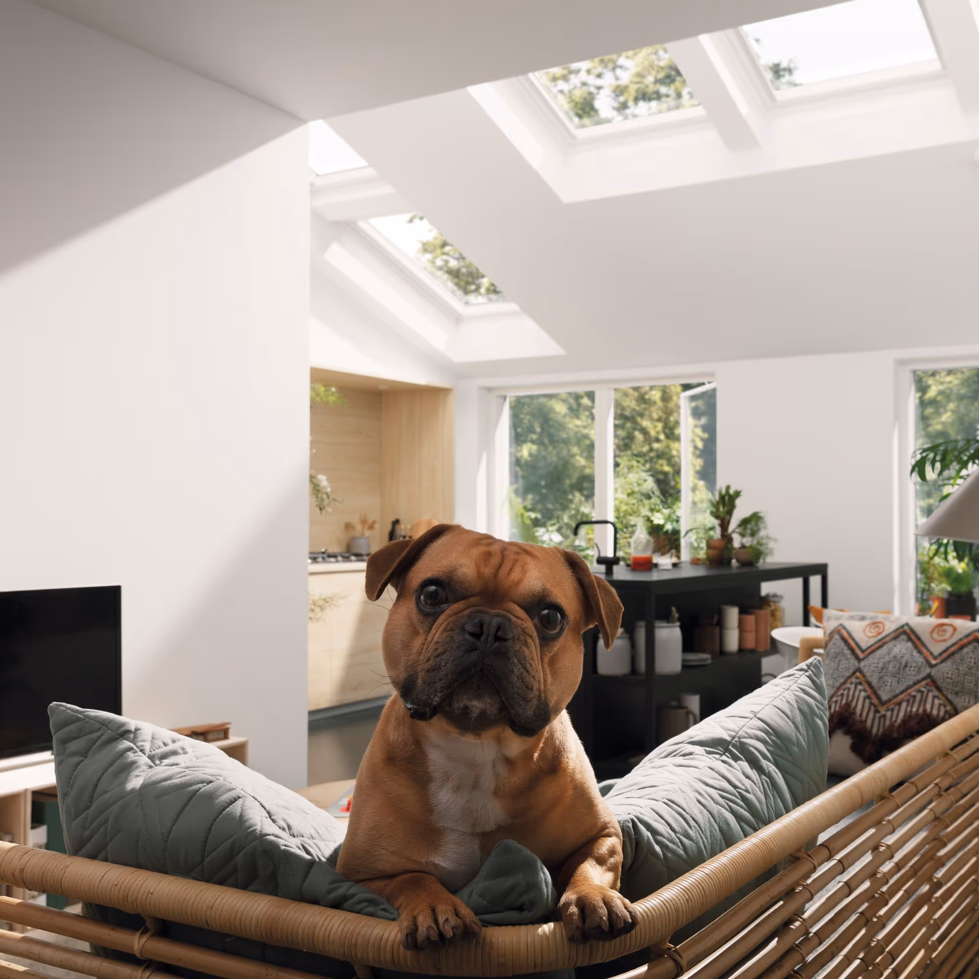 Control the ambiance of your interior remotely.