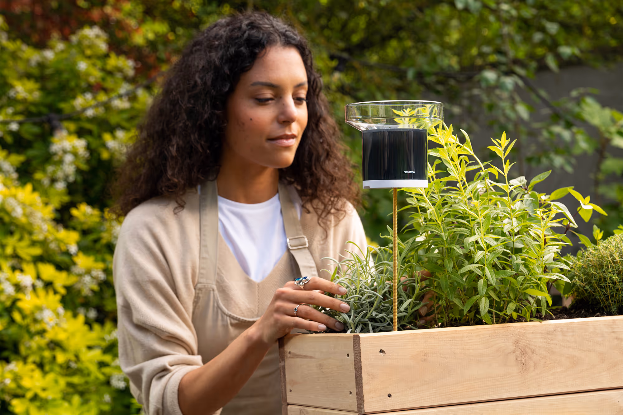 Pair the Rain Gauge with the Weather Station.