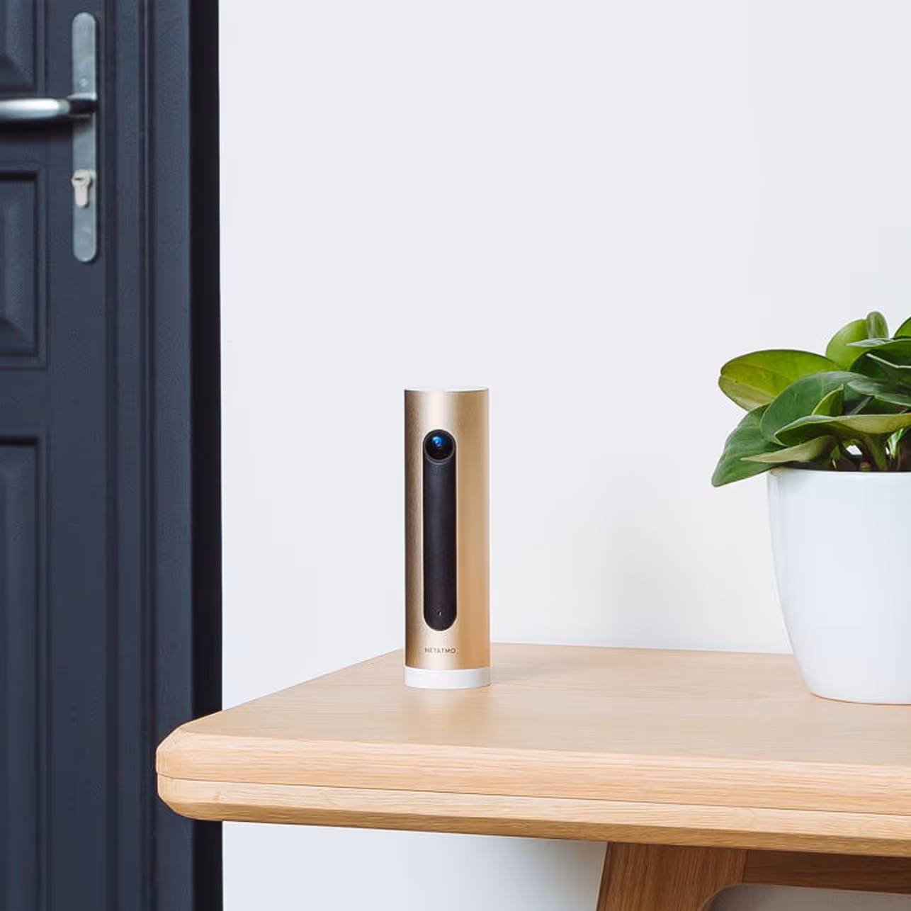 Keep an eye on your home at all times.